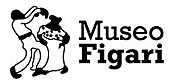 Museo Figari